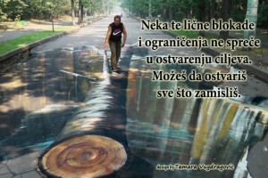 možeš da ostvariš                 